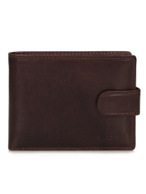 Портмоне Toscanio модель T284C.BRAZ Портмоне Toscanio модель T284C.BRAZ Фото