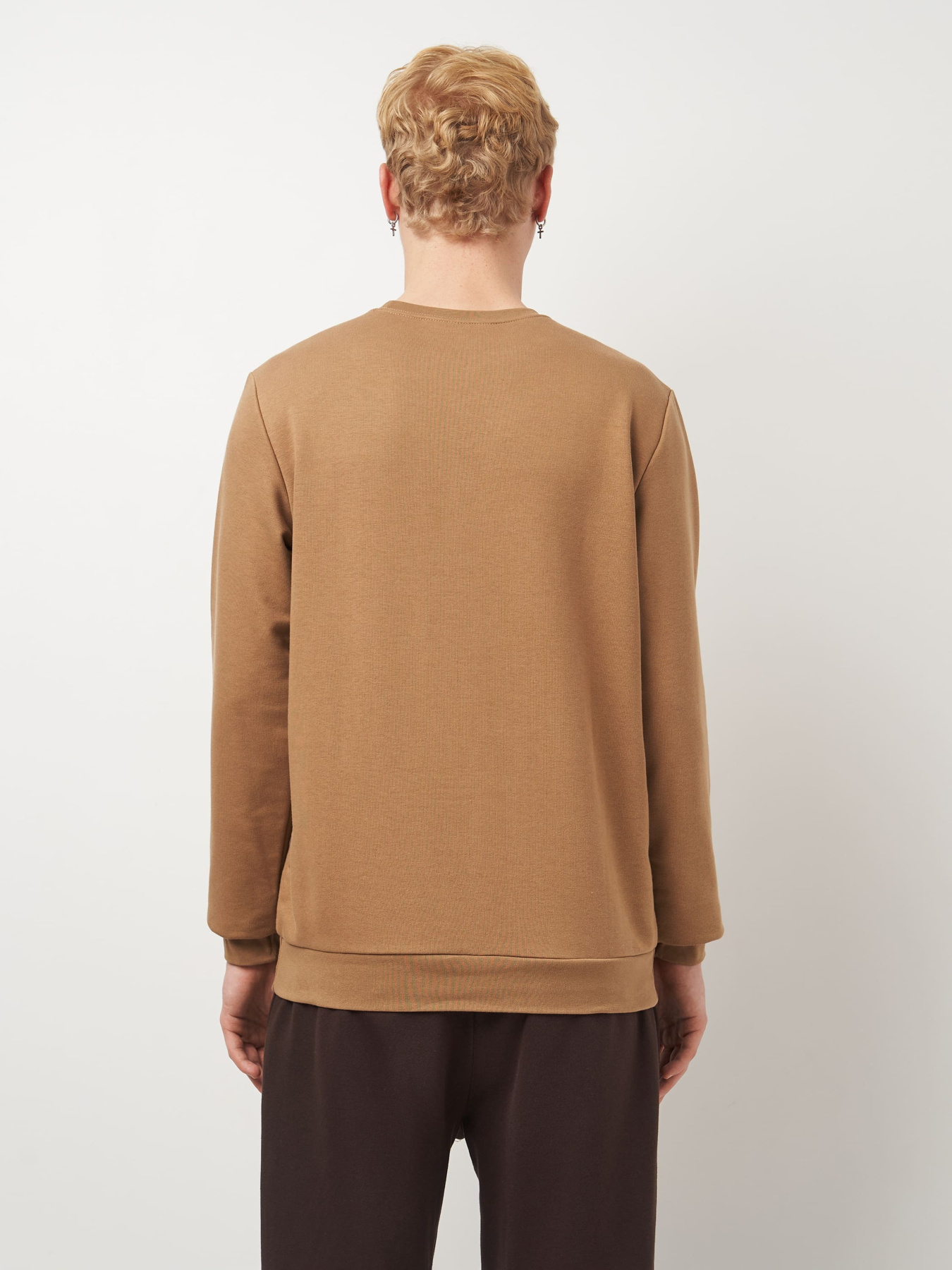 Свитшот Роза модель 210542_toffee Свитшот Роза модель 210542_toffee Фото