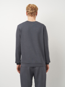 Світшот Роза модель 210542_grey Світшот Роза модель 210542_grey Фото