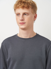 Світшот Роза модель 210542_grey Світшот Роза модель 210542_grey Фото