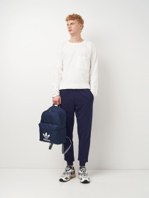 Джоггеры Роза модель 230432_blue Фото