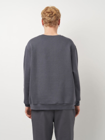 Свитшот Роза модель 240452_grey Фото