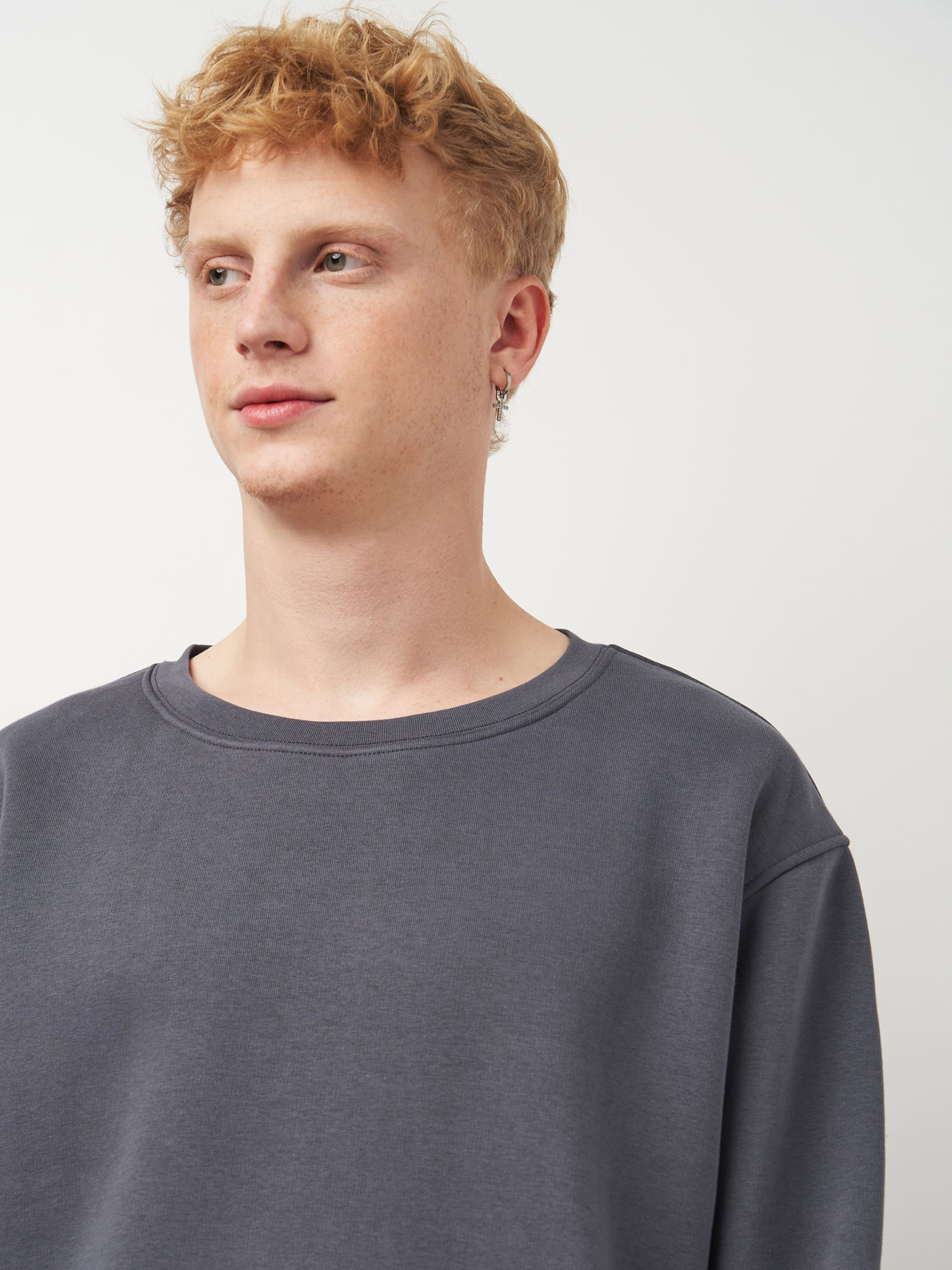 Свитшот Роза модель 240452_grey Фото