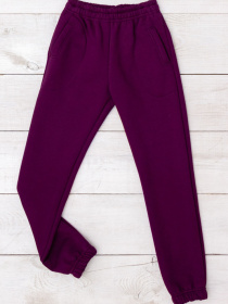 Джоггеры Носи своє модель 6060-025-3-baklazhan Фото