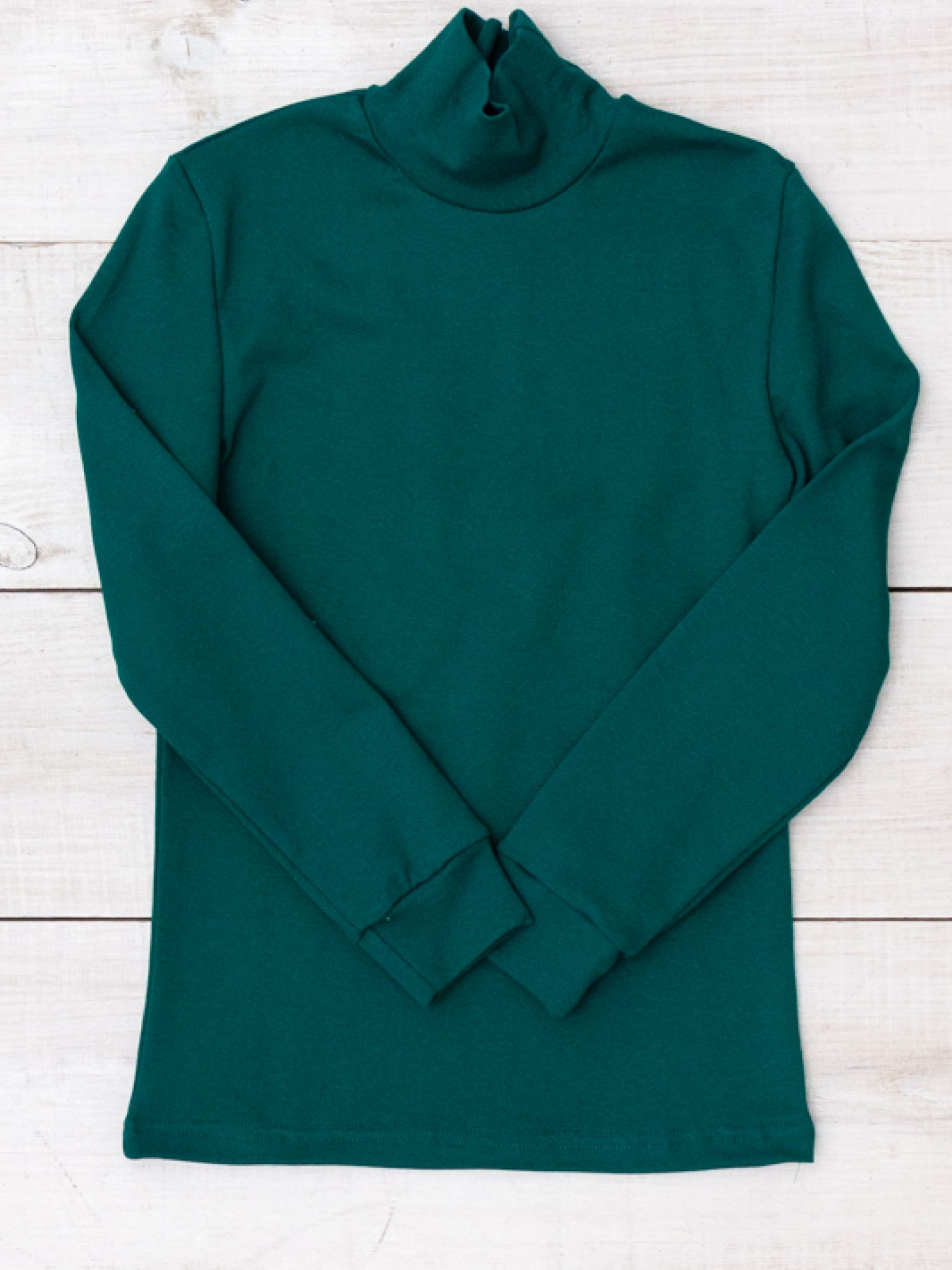 Водолазка Носи своє модель 6068-040-butilochnij Фото