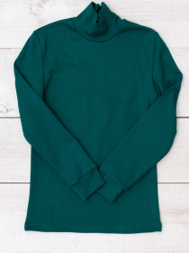 Водолазка Носи своє модель 6068-040-butilochnij Фото