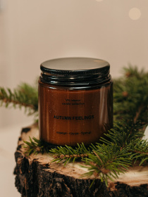 Аромасвечка в янтарной банке, аромат "сливочно-тыквенный" Candle Design модель 210.0016 Аромасвечка в янтарной банке, аромат "сливочно-тыквенный" Candle Design модель 210.0016 Фото