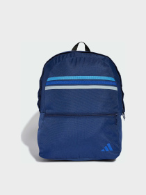 Рюкзак Adidas модель IS7062 Фото