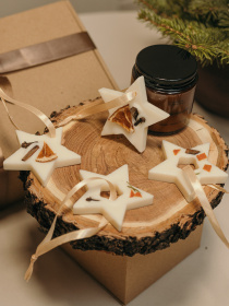 Набор аромасаше, аромат "Wassail" (глинтвейн) из натурального оливкового воска Candle Design модель 160.2019 Набор аромасаше, аромат "Wassail" (глинтвейн) из натурального оливкового воска Candle Design модель 160.2019 Фото