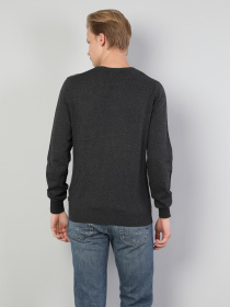 Кофты и свитера Colin’s модель CL1023230_q1.v1_ANM Фото