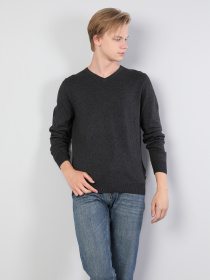 Худи и свитшоты Colin’s модель CL1023230_q1.v1_ANM Фото