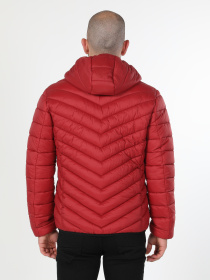 Куртки та дублянки Colin’s модель CL1021308_Q1.V1_COR Куртки та дублянки Colin’s модель CL1021308_Q1.V1_COR Фото