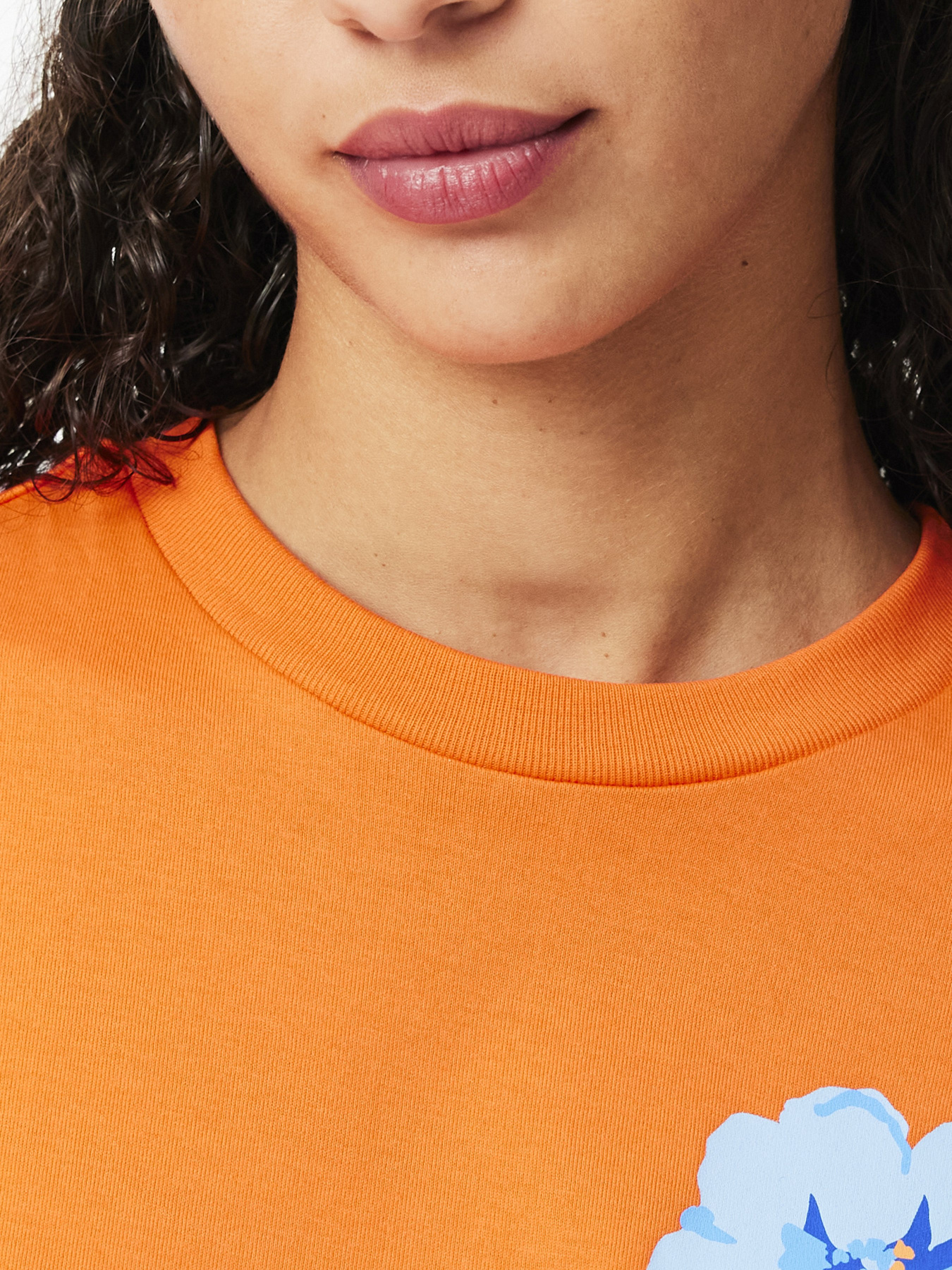 Футболка Lacoste модель TF2687P40 Фото