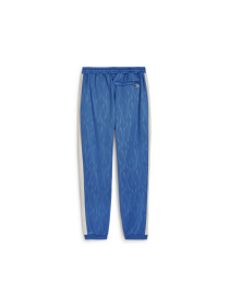 Штаны спортивные PUMA The Neverworn Iv T7 Pants модель 628462 Фото
