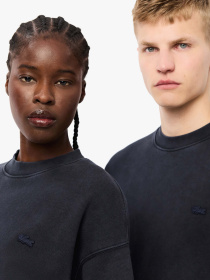 Світшот Lacoste модель SH2837031 Фото