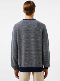 Джемпер Lacoste модель AH2512166 Фото