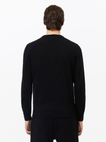 Джемпер Lacoste модель AH1985031 Фото