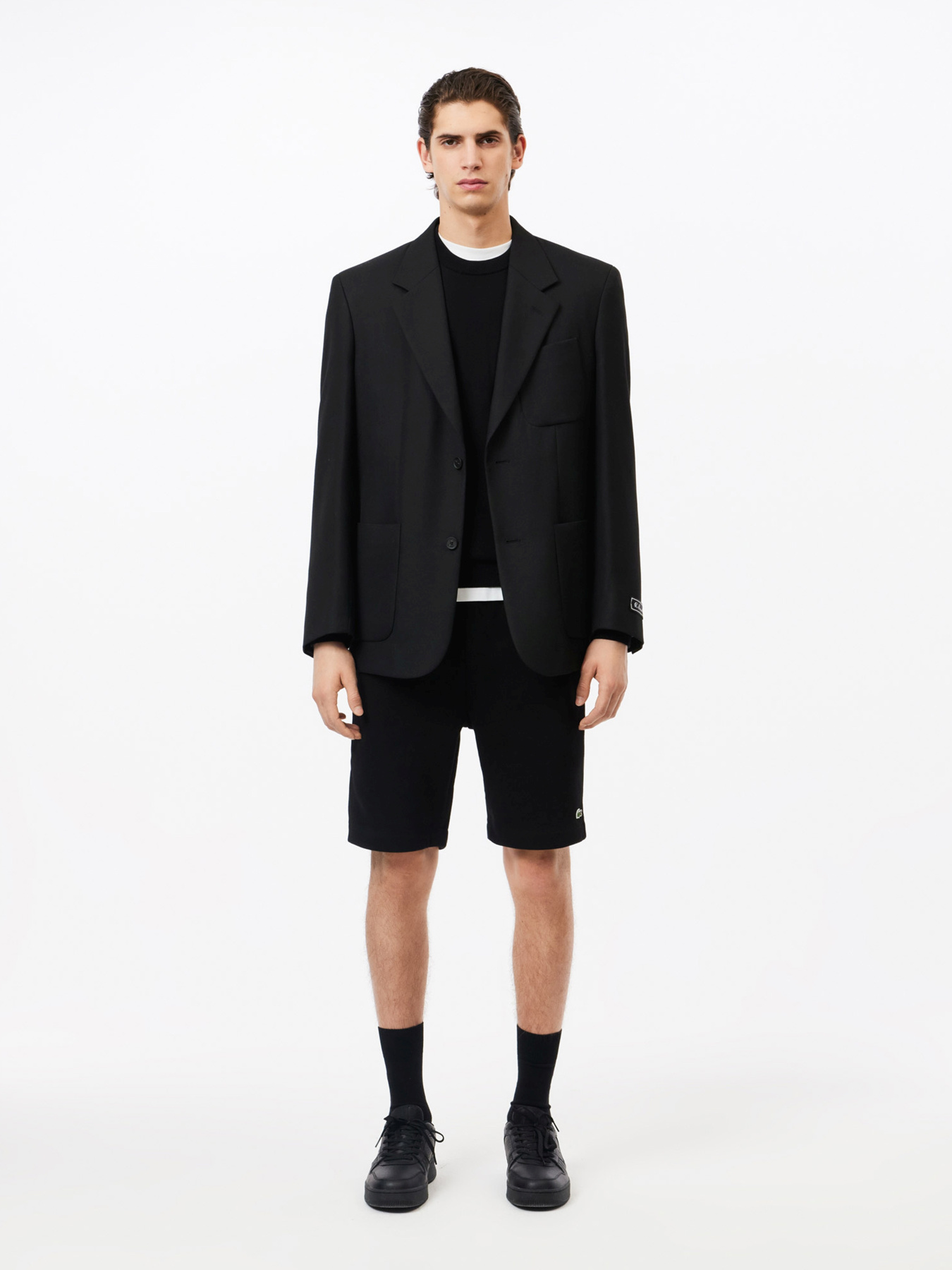 Джемпер Lacoste модель AH1985031 Фото