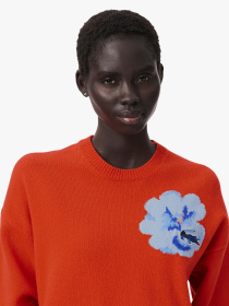 Джемпер Lacoste модель AF5189P40 Джемпер Lacoste модель AF5189P40 Фото