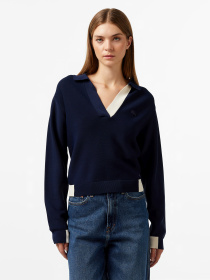 Джемпер Lacoste модель AF2522166 Фото