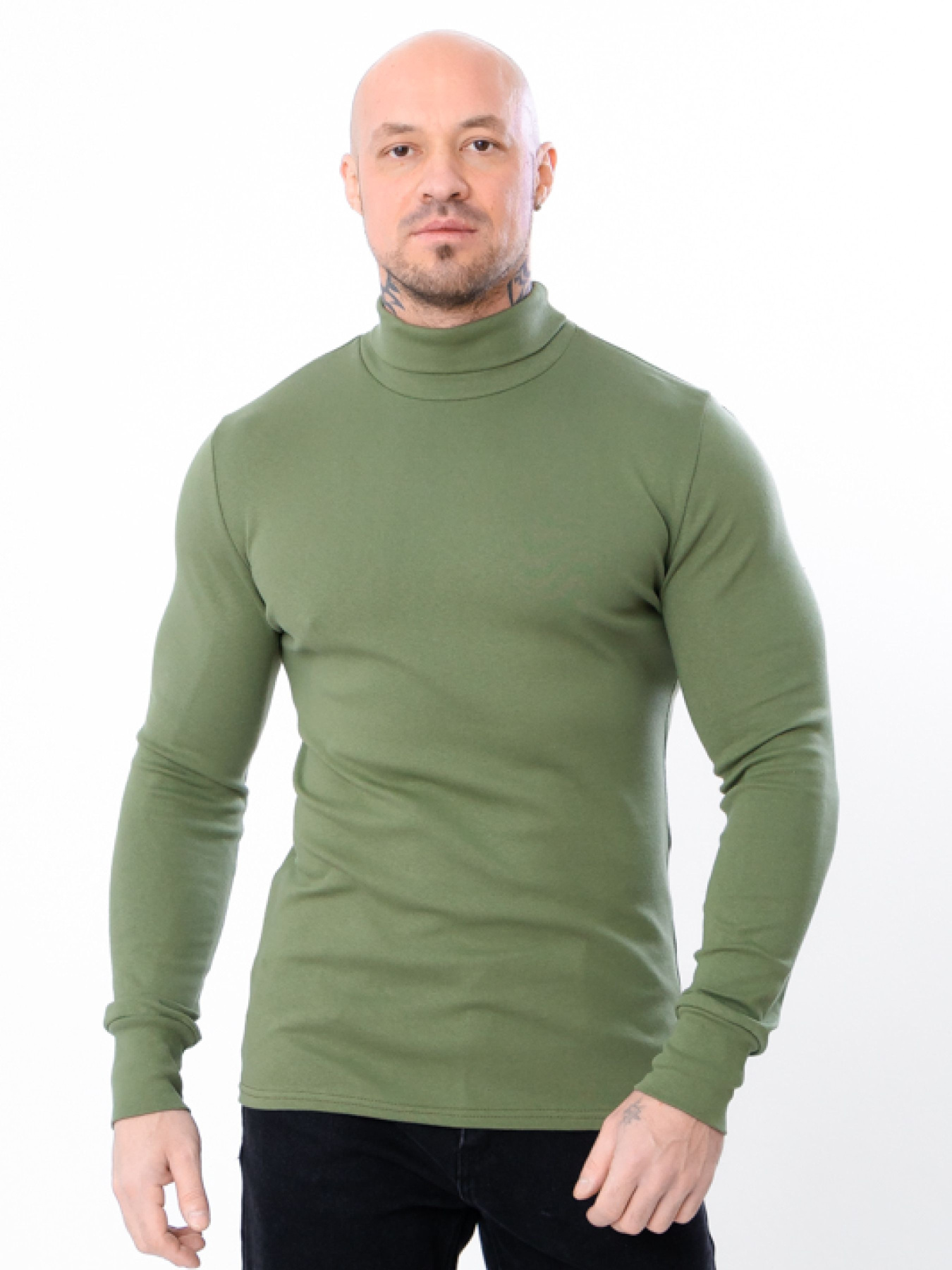 Водолазка Носи своє модель 8095-040-fstashkovij Фото