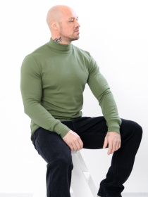 Водолазка Носи своє модель 8095-040-fstashkovij Фото