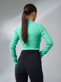 Водолазка ISSA Plus модель WN20-654_салатовый Фото