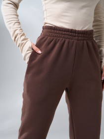 Штаны спортивные ISSA Plus модель 12272_коричневый Фото