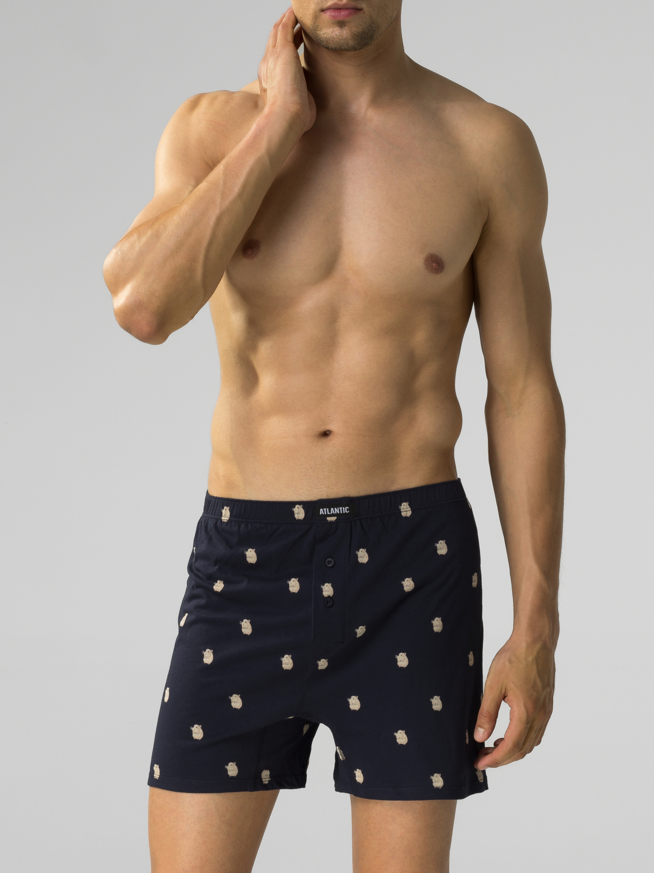 Набор трусов Atlantic модель 2MBH-003 Фото