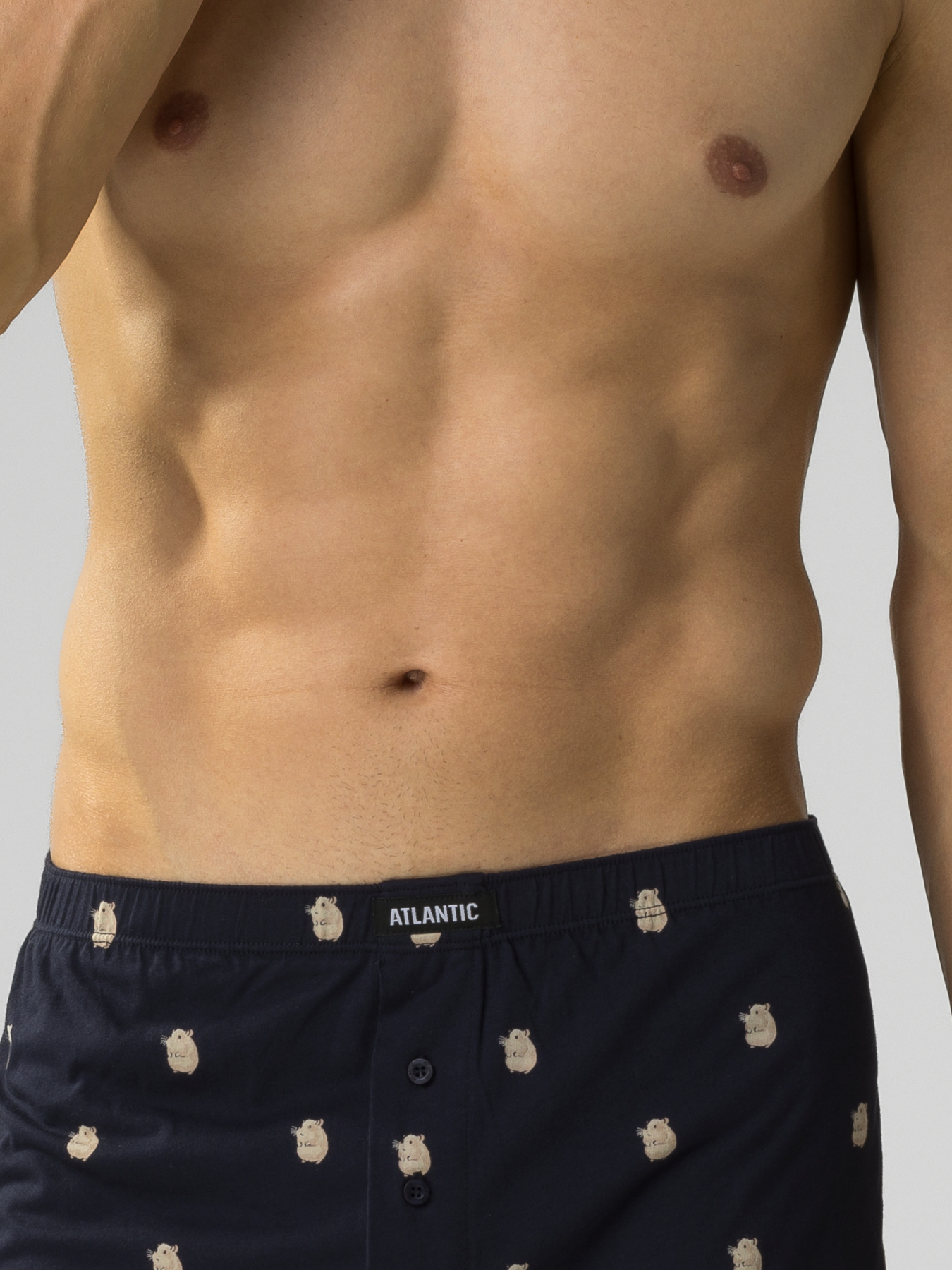 Набор трусов Atlantic модель 2MBH-003 Фото