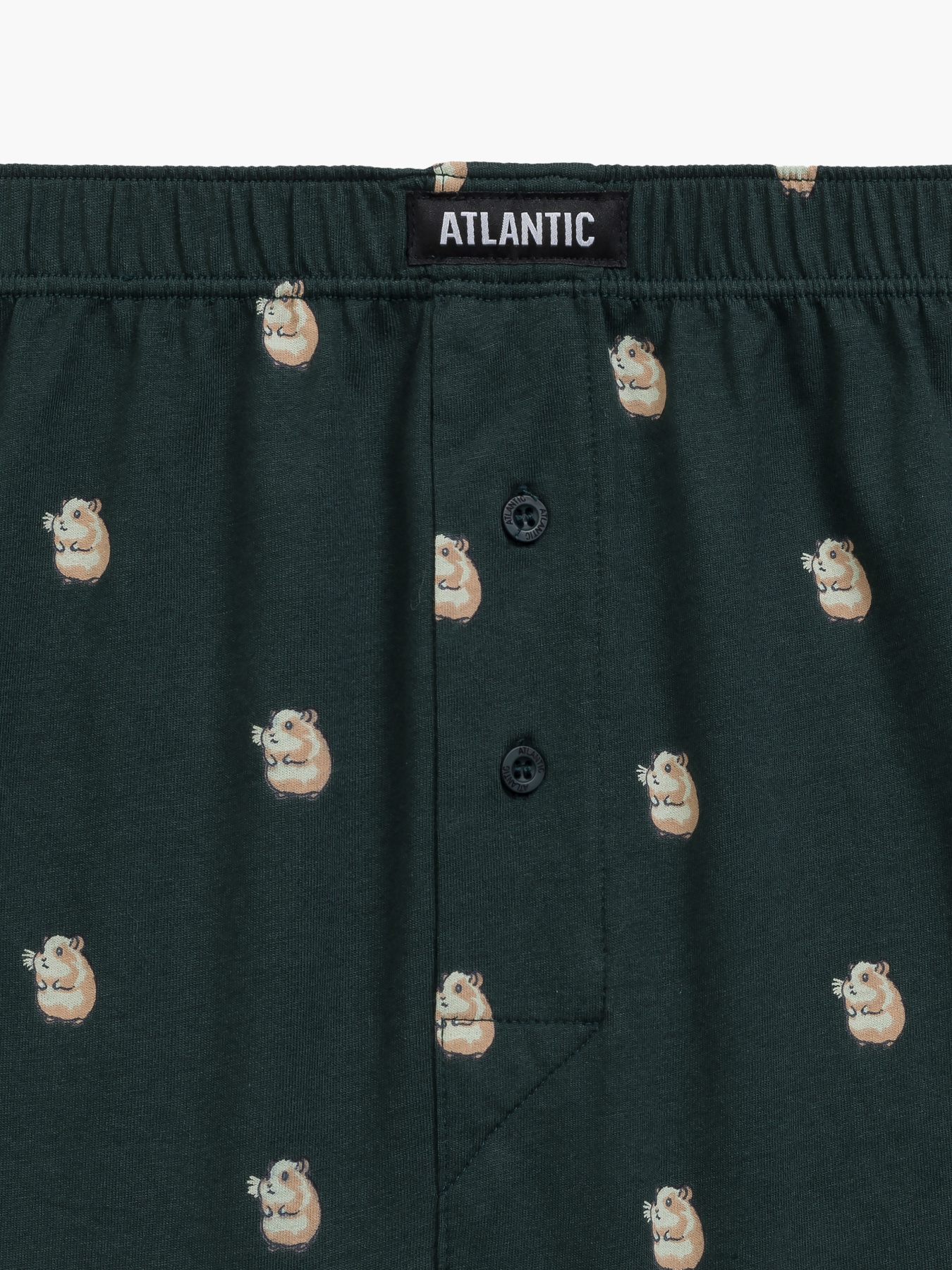 Набор трусов Atlantic модель 2MBH-003 Фото