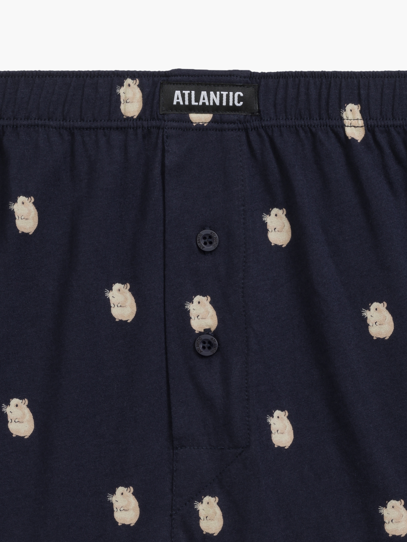 Набор трусов Atlantic модель 2MBH-003 Фото