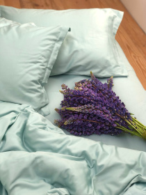 Підковдра класична м'ятна Cozy модель 8009074 Підковдра класична м'ятна Cozy модель 8009074 Фото