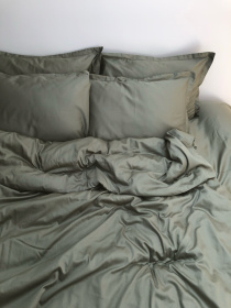 Підковдра класична мох Cozy модель 8009098 Фото