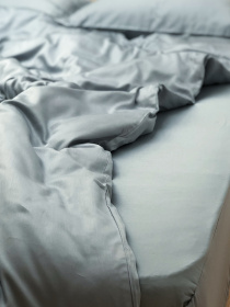 Підковдра класична сіро-блакитна Cozy модель 8009066 Фото