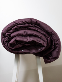 Підковдра класична слива Cozy модель 8009048 Фото