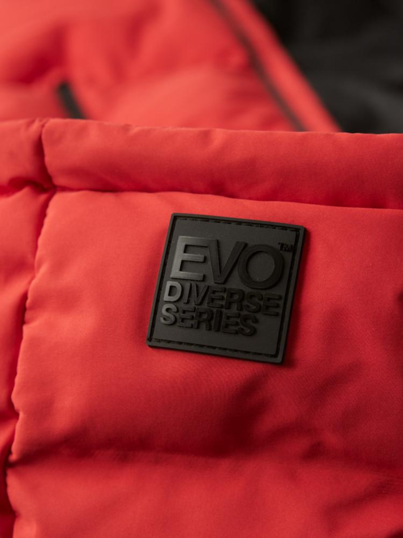 Зимова куртка DIVERSE Evo Morla L модель 10042878 Фото