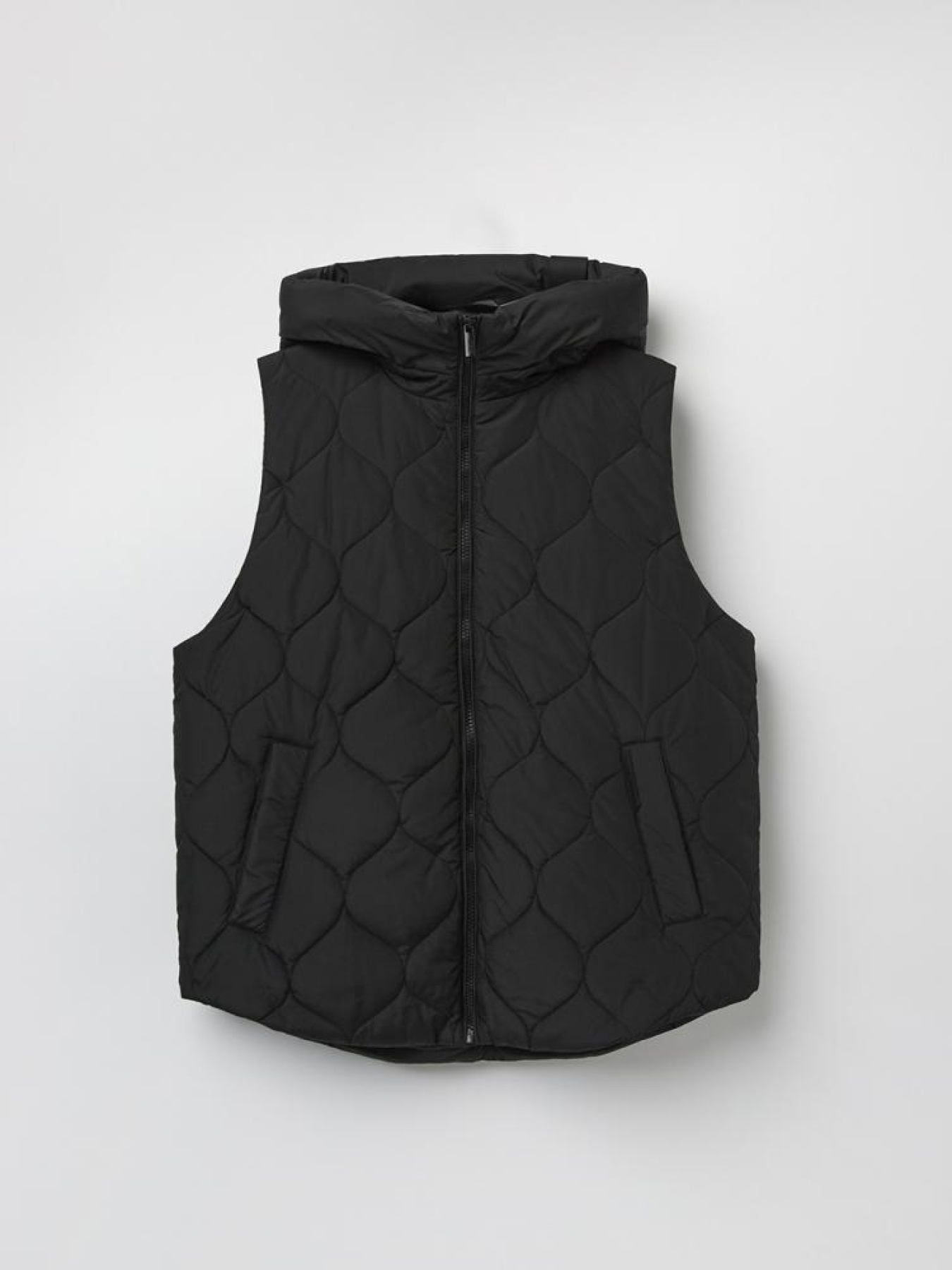 Жилет з утеплювачем DIVERSE Basantina модель 10045078 Фото