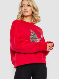 Світшот Ager модель У-1133156::000000050 Фото