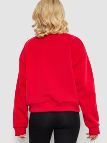 Світшот Ager модель У-1133156::000000050 Фото