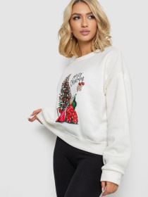 Світшот Ager модель У-1133156::000000060 Фото