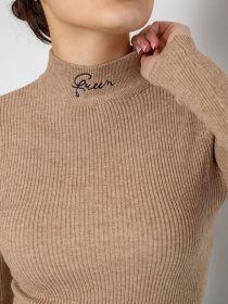 Водолазка Ager модель У-1125409::000000226 Фото