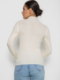 Водолазка Ager модель У-1125406::010002075 Фото