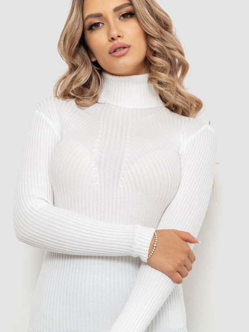 Водолазка Ager модель У-1126207::000000014 Фото