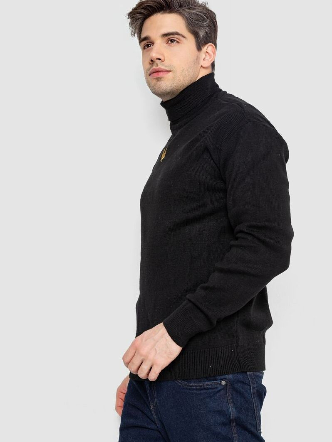 Водолазка Ager модель У-1133095::000000096 Фото