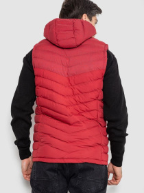 Жилет с утеплителем Ager модель У-1133105::000000029 Фото