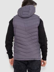 Жилет с утеплителем Ager модель У-1133105::000000072 Фото