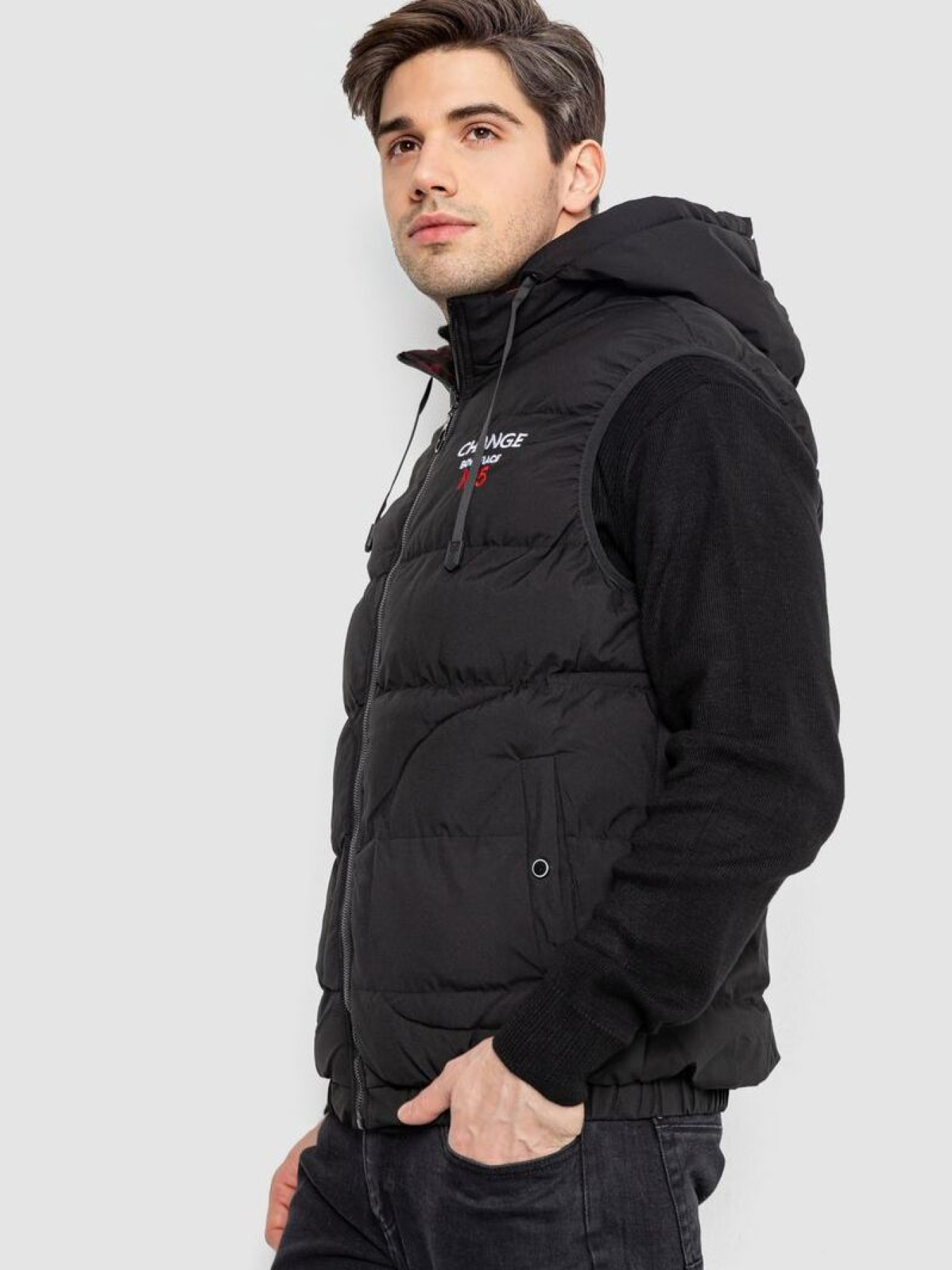 Жилет с утеплителем Ager модель У-1133100::000000096 Фото