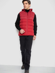 Жилет с утеплителем Ager модель У-1133103::000000029 Фото