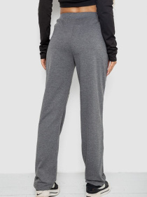 Штани спортивні Ager модель У-1133264::000000072 Фото